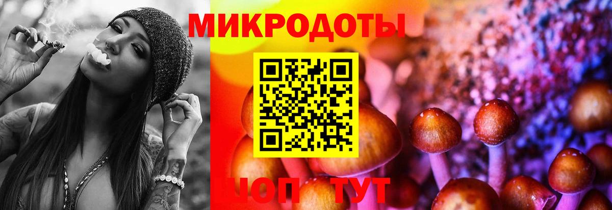 дарнет шоп  Галлюциногенные грибы Magic Shrooms  Вход с VPN  Гатчина 